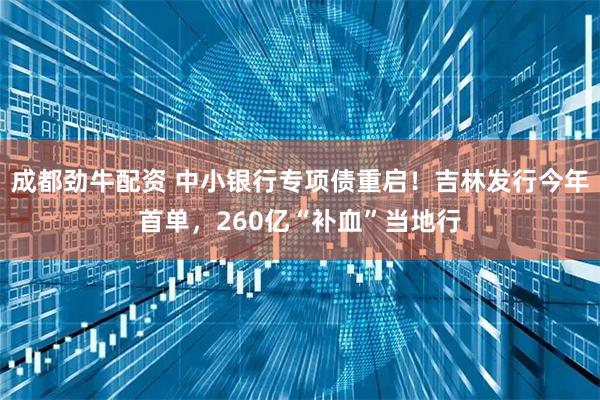 成都劲牛配资 中小银行专项债重启！吉林发行今年首单，260亿“补血”当地行