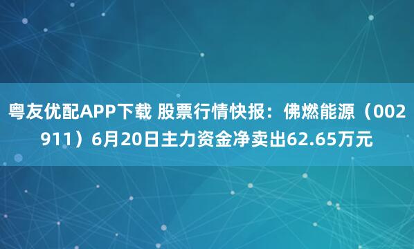 粤友优配APP下载 股票行情快报：佛燃能源（002911）6月20日主力资金净卖出62.65万元