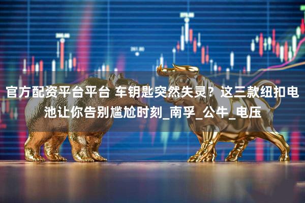 官方配资平台平台 车钥匙突然失灵？这三款纽扣电池让你告别尴尬时刻_南孚_公牛_电压